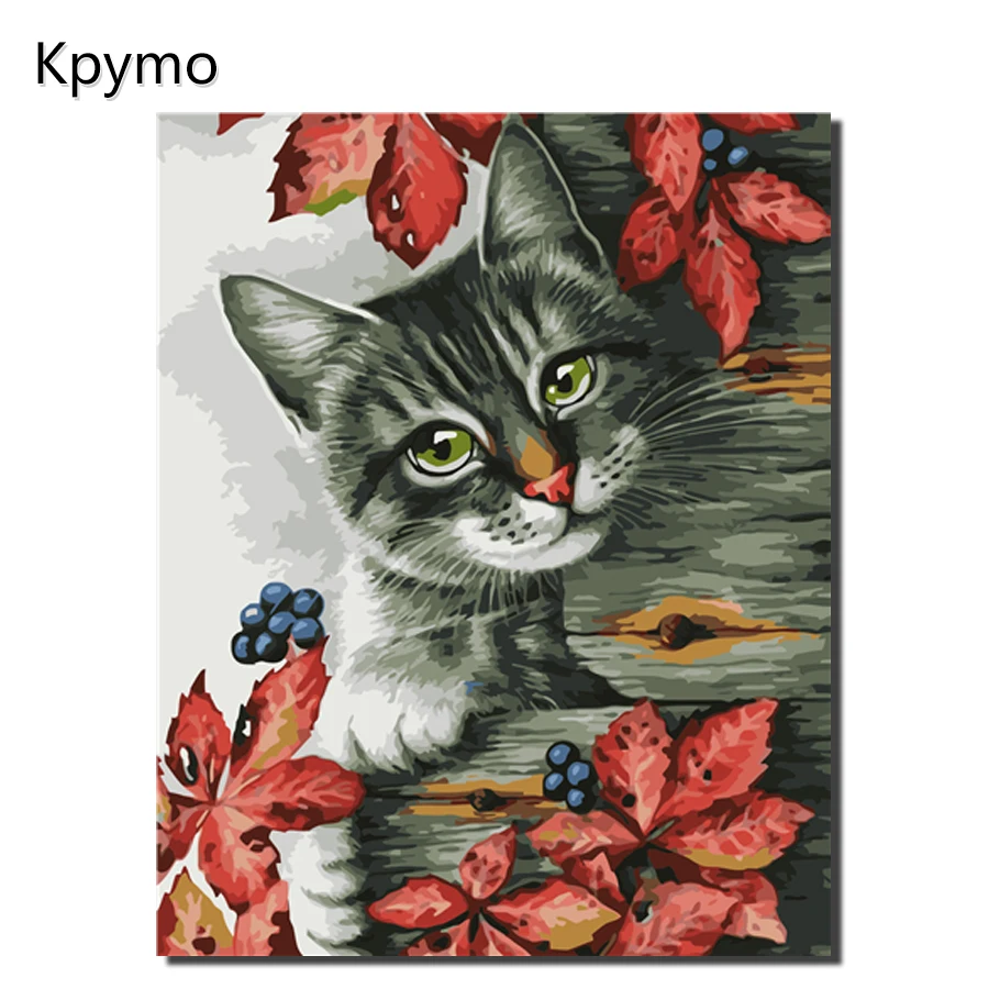Kpymo DIY Framed Oil Painting By Numbers Cats Pictures Animal Canvas