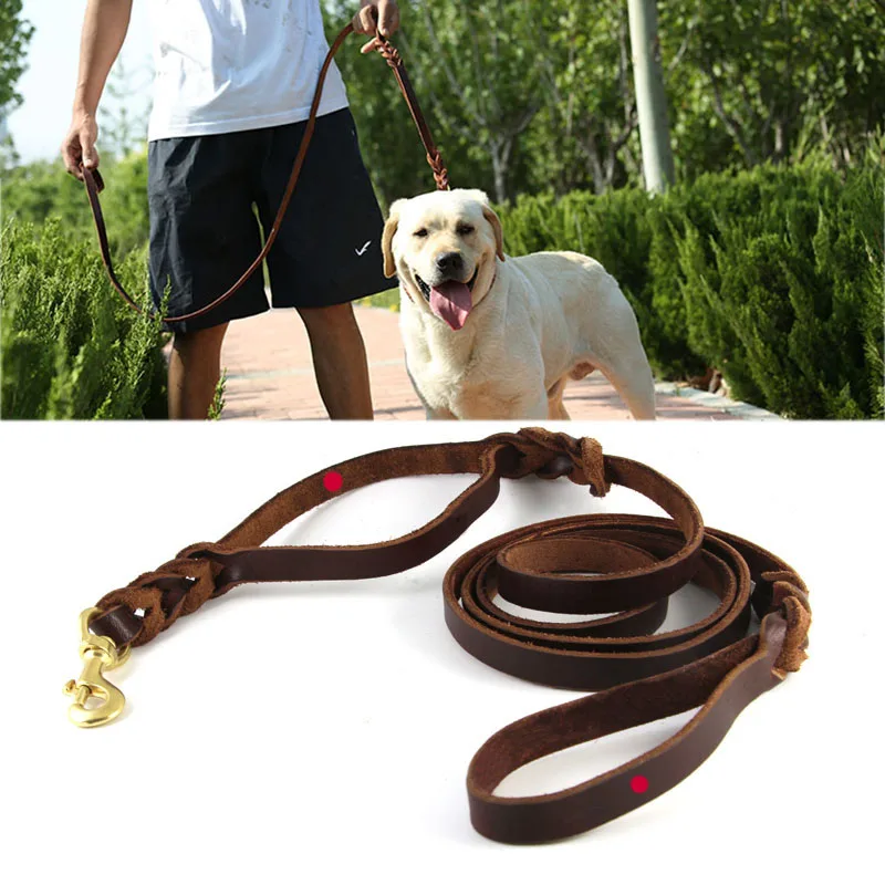 

Genuine Leather Braided Dog Leash with Traffic Handle for Medium Large Dogs Walking Control Deluxe Copper Hook Pet Walking Lead