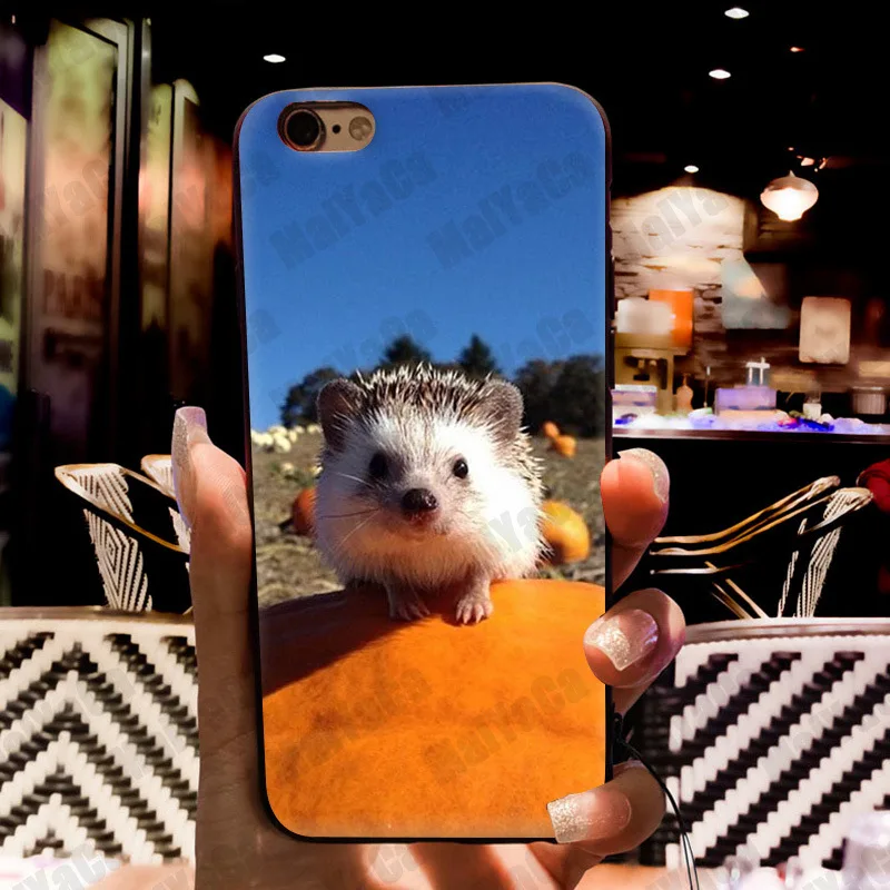 MaiYaCa Love Cute Pretty Hedgehogs Amazing Phone Accessories Case for Apple iPhone 8 7 6 6S Plus X 5 5S SE 5C Cellphones MaiYaCa Love Cute Pretty Hedgehogs Amazing Phone Accessories Case for Apple iPhone 8 7 6 6S Plus X 5 5S SE 5C Cellphones