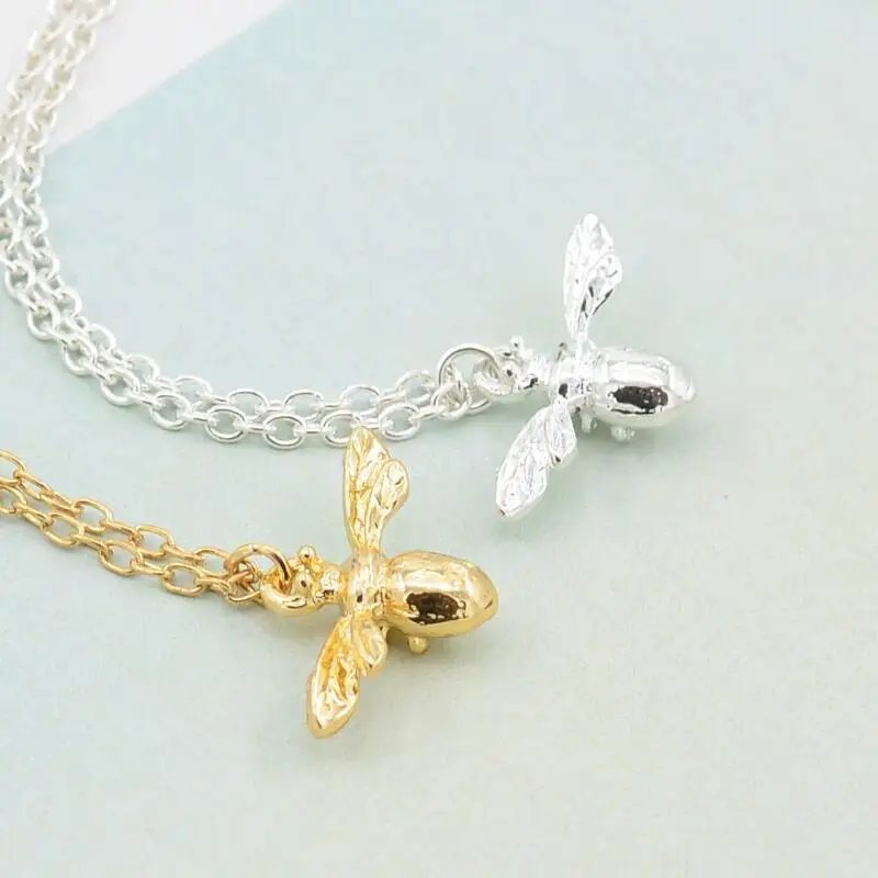 XL034 (1)