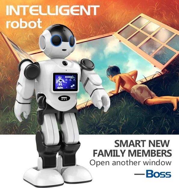 home automation robot