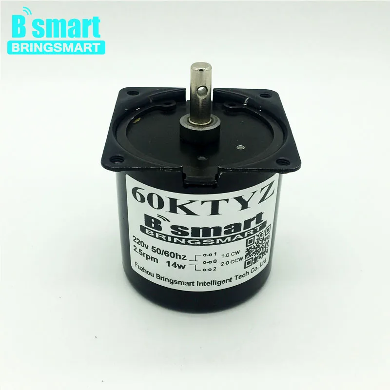 

Bringsmart 60KTYZ 220V Synchronous AC Motor Low Speed 2.5rpm Electric Mini Motor High Torque Metal Gear Reducer Barbecue Motor