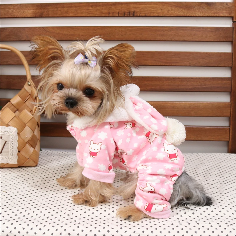 Explore InStyle Make sure your pup wins best dressed at the dog park by shopping at these fabulous and cool designer dog brands.