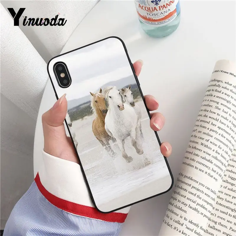 Animal Horse