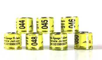 

pigeon rings 50 pcs with shipping by dhl color blue,inner size 8mm