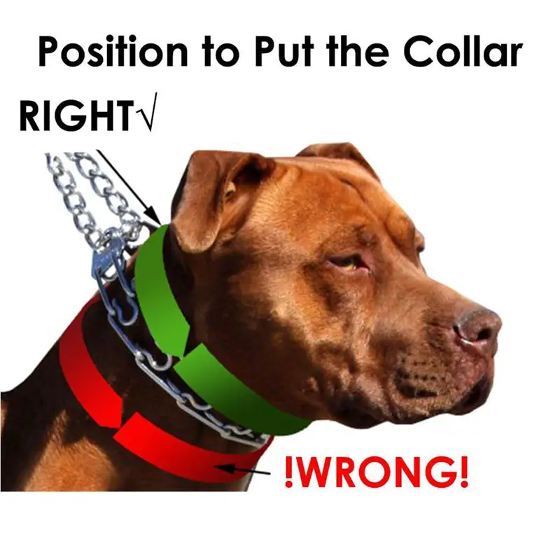 Ошейник для собак, металлический Дроссельный ошейник для собак с удобными наконечниками