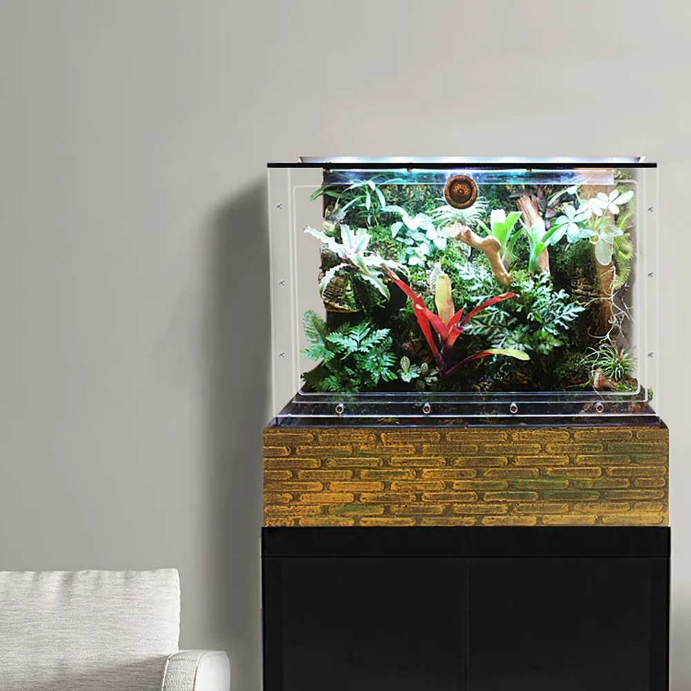 Rainforest Vivarium Kit Paludarium With Waterfall Background For