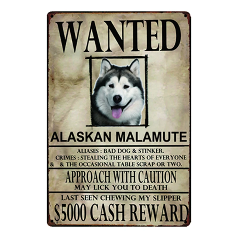[Kelly66] собака Wanied Border Collie Chihuahua металлический знак оловянный плакат домашний Декор