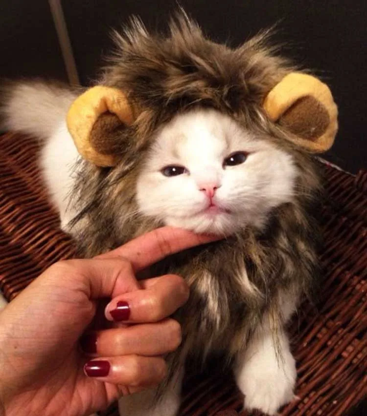 Собака кошка Лев парик Мане щенок котенок Косплэй Hairwear Шапки Хэллоуина Наряжаться с ушками