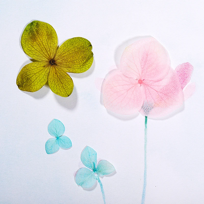 1 сумка сушеные цветы натуральная наклейка в виде цветка 3D сухой гортензии цветочный дизайн ногтей украшения наклейки для ногтей дизайн случайный цвет