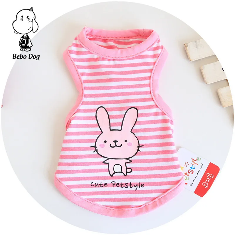 8561203797_111559010