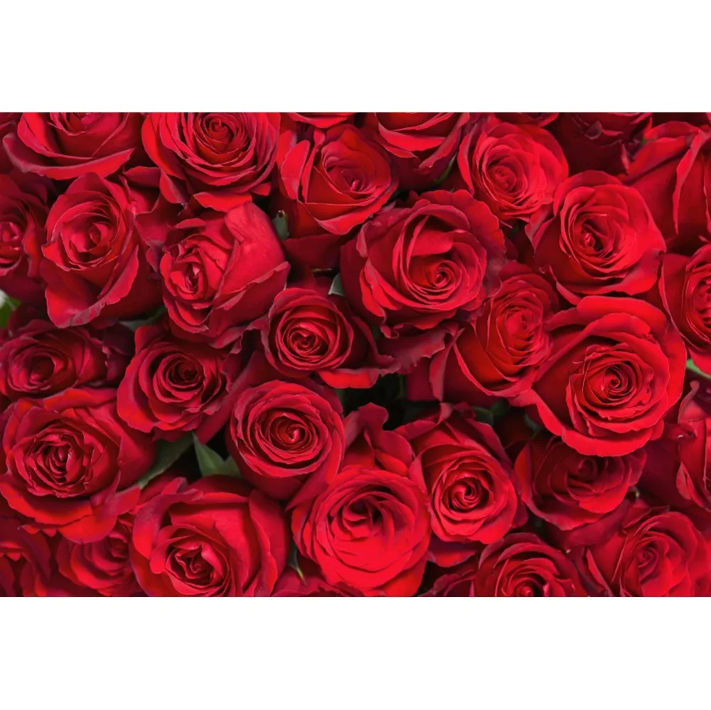 

Laeacco Photo Backdrops Red Blossom Rose Wedding Wall Party Birthday Child Portrait Photographic Backgrounds For Photo Studio