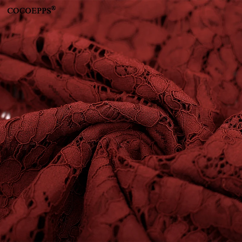 COCOEPPS17