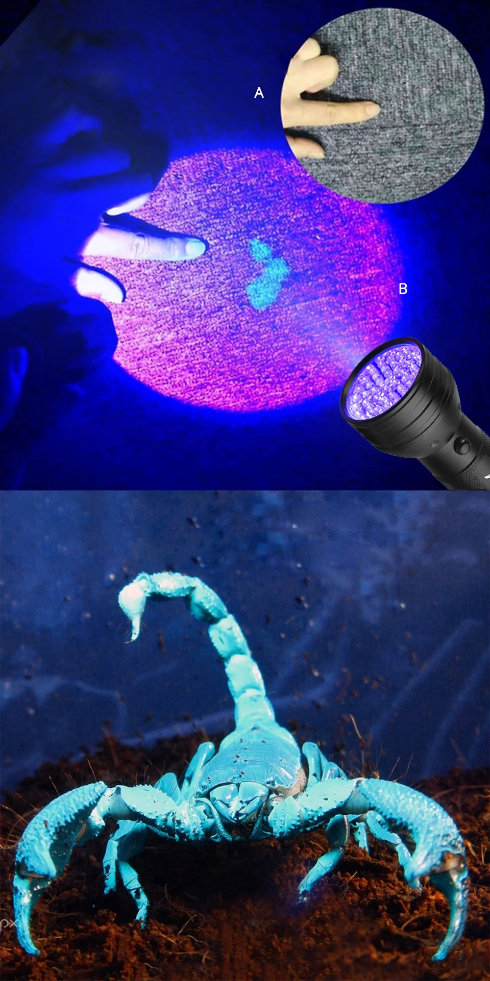 HTB1A87PkuuSBuNjSsziq6zq8pXaf