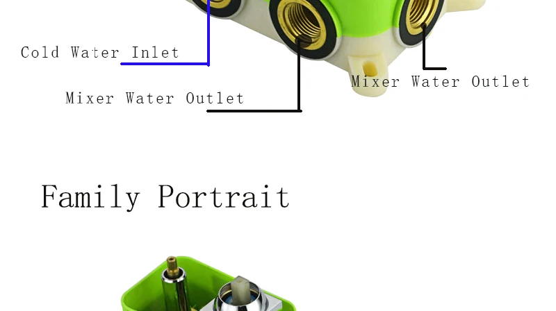 Shower-r_20