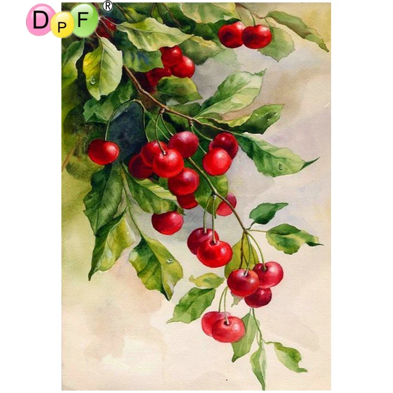 вишня быстринка. вишня номер. дюк (вишнёво-черешневый гибрид) ночка. брусничный цвет. цвет вишня.