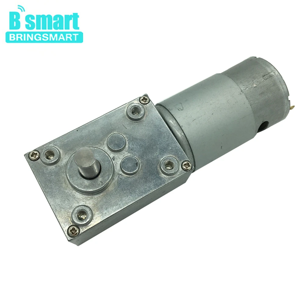 

Bringsmart High Torque 5-70kg.cm A58SW-555 Worm Gear Motor24V DC Motor 12V Self-lock Mini Reduction Gearbox for DIY Robot