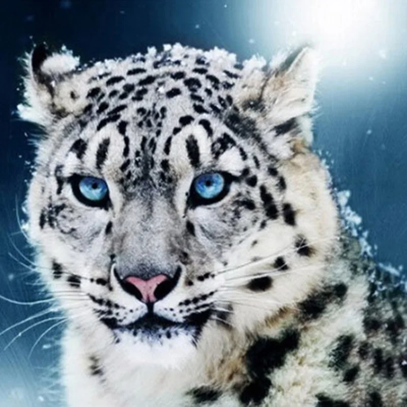 White Snow Leopard Diamond Painting Diy Living Room Decor 5D Diamond