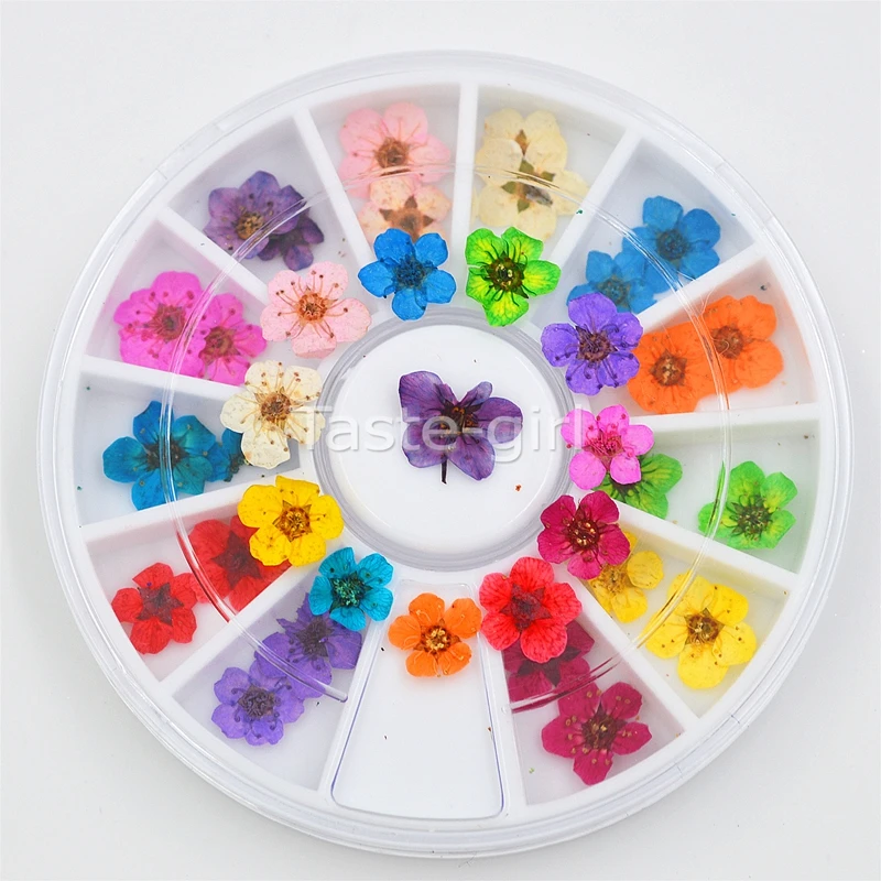 12 цветов настоящий натуральный лепесток сушеные Цветочные кончики 3D дизайн ногтей колесо украшение ногтей украшения для УФ гель красота маникюрные инструменты