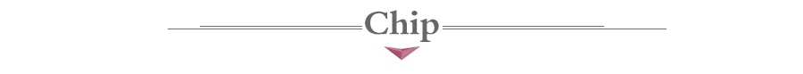 Chip