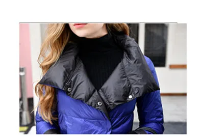 2018 Down Jacket Winter Female Coat Down Jacket New Clothing Brand Winter Clothing Fashionable Female Down jacket Thickening Parka Jacket Coat Female Rabbit Wool Outdoor Warm Coat (11)