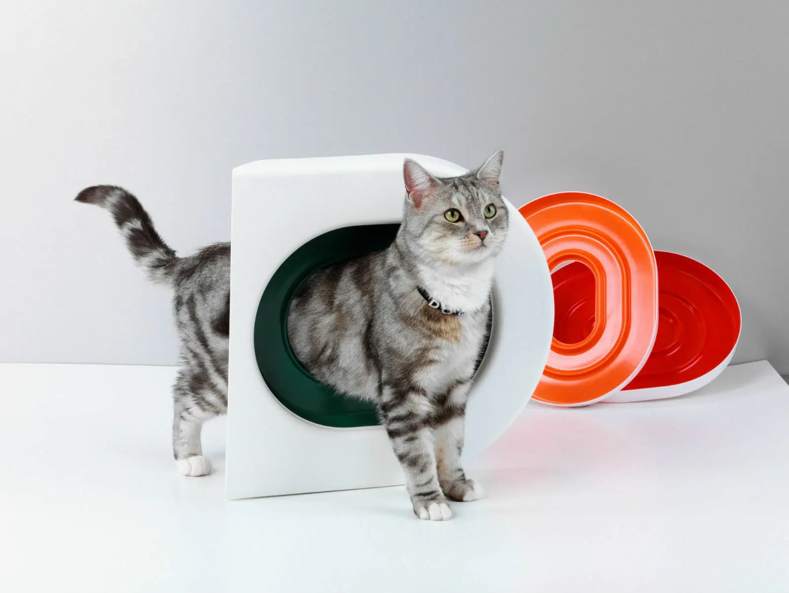 Профессиональная кошка обучение сиденье для унитаза Pet Box Kit поезд любовь чистые кошки использовать унитаз для людей легко узнать туалет коробка подарок