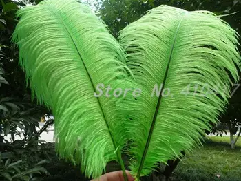 

10pcs/lot Ostrich Feathers 20-22inches/50-55cm Green Color Feathers For Performance Weeding Decoration Gift Feather