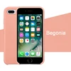 begonia