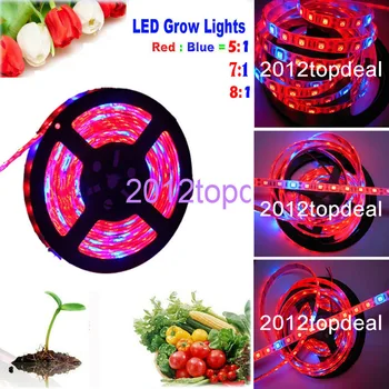 

LED Plant Grow Lights 5050 LED Strip DC12V Red Blue 5:1, 7:1, 8:1, for Greenhouse Hydroponic Plant Growing,5m/lot