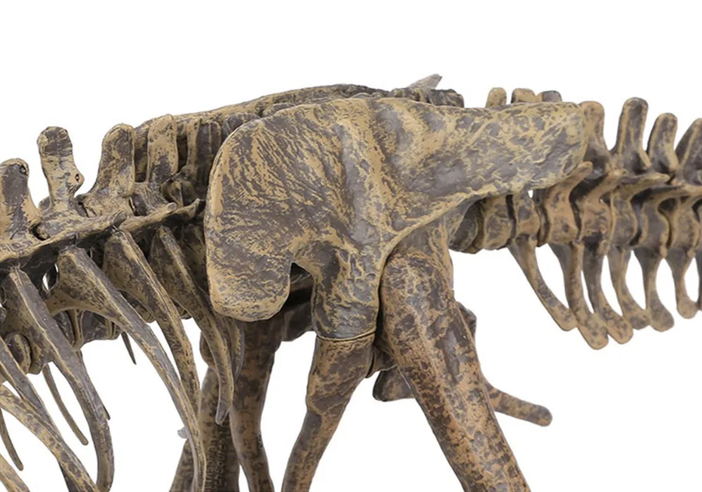 4D-28-70cm-PVC-Assembling-Skeleton-Dinosaur-Simulation-Animal-Model-Toys-Gifts-Children-Educational-Science-Toy (3)