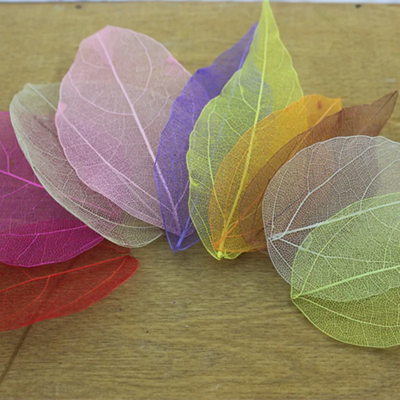 

30pcs free shipping shoots made of forest natural dried flowers natural diamond leaves veins dried flowers specimens bookmarks