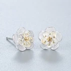 HTB1rhd5PVXXXXXRXVXXq6xXFXXXa (1)