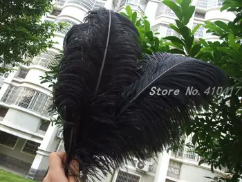 

10pcs Black Color Ostrich Feathers 20-22inches/50-55cm Performance Weeding Party Decoration Gift Feather