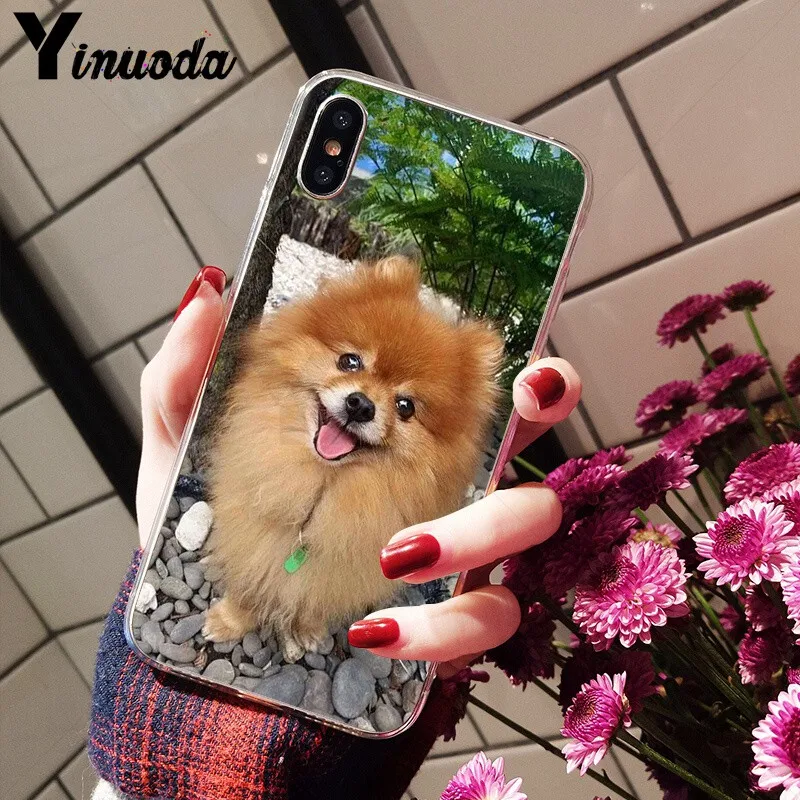 Yinuoda померанские собаки ТПУ Мягкий силиконовый чехол для телефона чехол для Apple iPhone 8 7 6 6S Plus X XS MAX 5 5S SE XR мобильные телефоны - Цвет: A2