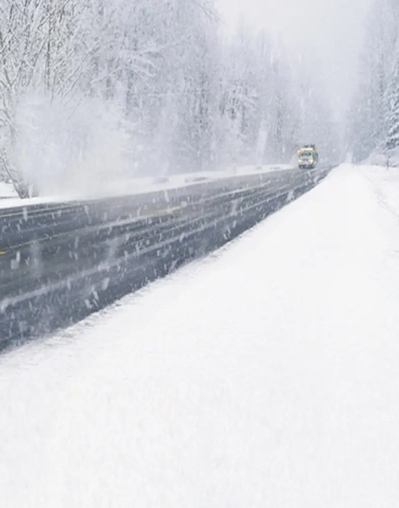 

5x7ft Winter Snow Tree Road Car Photography Backdrops Photo Props Studio Background