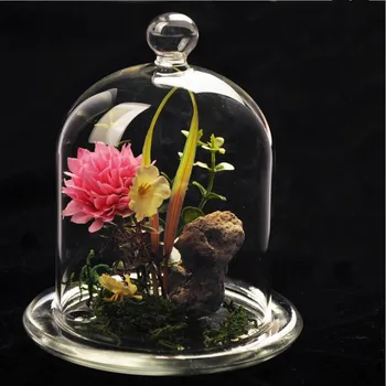 

Free Shipping 9*12cm Small Size Ball Top Glass Dome Diameter=9cm Height=12cm Glass Base Glass Cover Wedding Home Decorative Gift