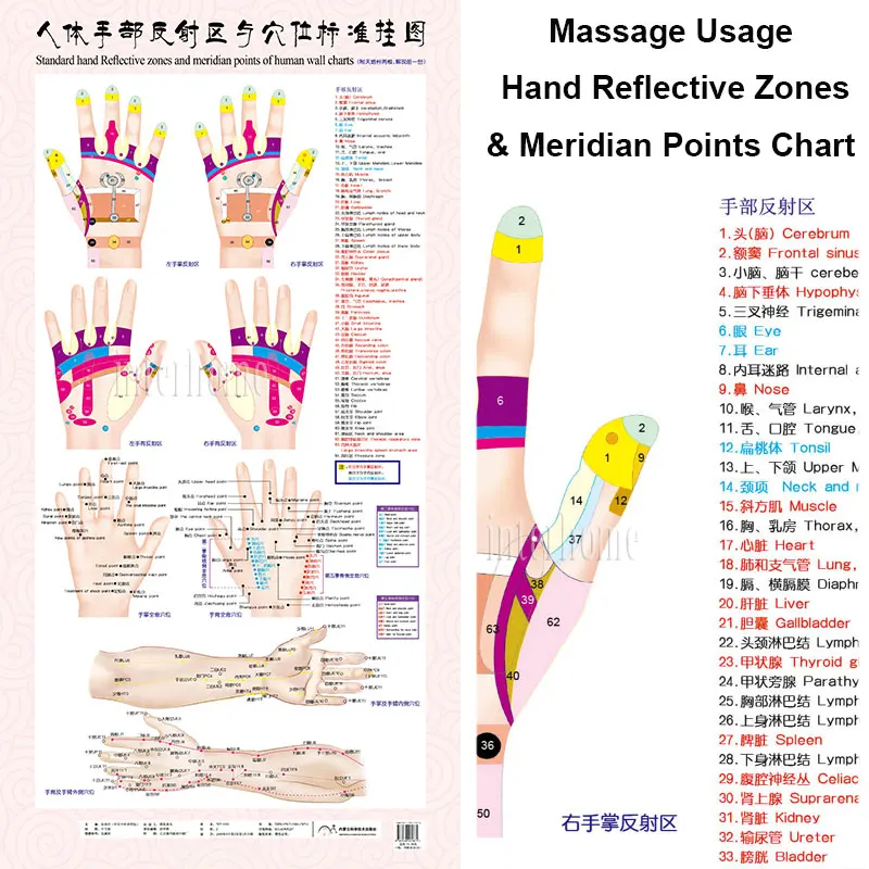Стандартный Меридиан акупунктуры точки диаграммы и ZhenJiu прижигание акупунктуры массаж диаграмма для головы рук ноги тела забота о здоровье - Цвет: For Hand