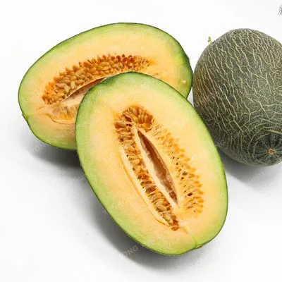 

50 PCS / Pack Cucumis Melo Bonsai Rare Small Heirloom True Organic Charentais Gourmet Melon Tasty Melon Fast Growing