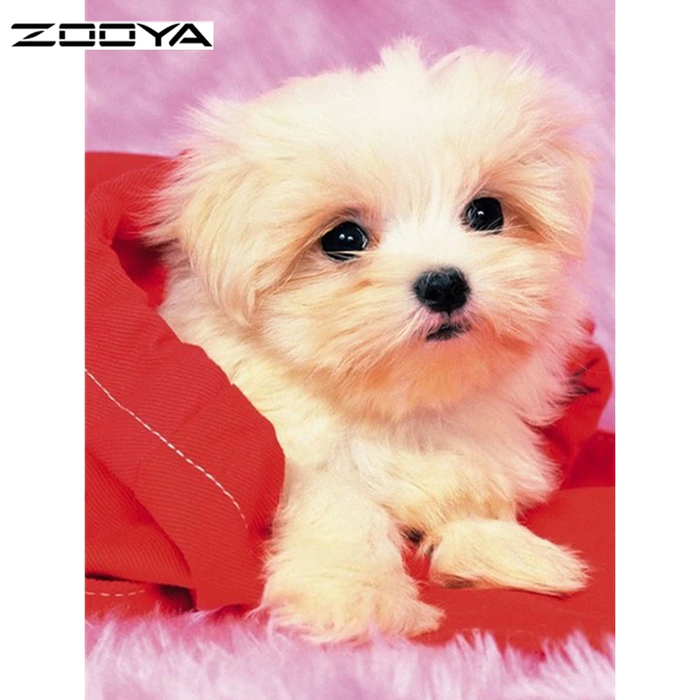 Zooya مجموعات الماس اللوحة عبر غرزة اللوحة الكريستال الماس الكامل unfinish فسيفساء ديكور غرفة التطريز الحيوان الكلب AT1345
