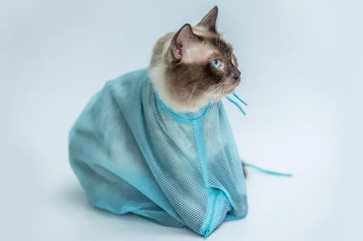 QQ20180417154959
