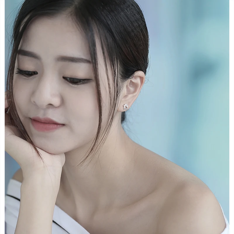 12 Silver stud earrings