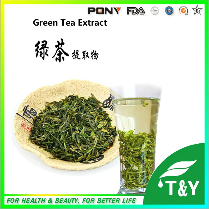ФОТО 100% Pure Natural GMP Certificate Green tea extract /green tea polyphenols 900g/lot