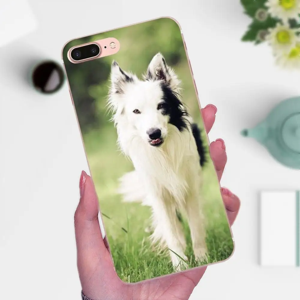 Аксессуары для телефона Border Collie Dog Breed чехол Huawei P8 P9 P10 P20 P30 Mate 7 8 9 10 20 Lite Plus Pro