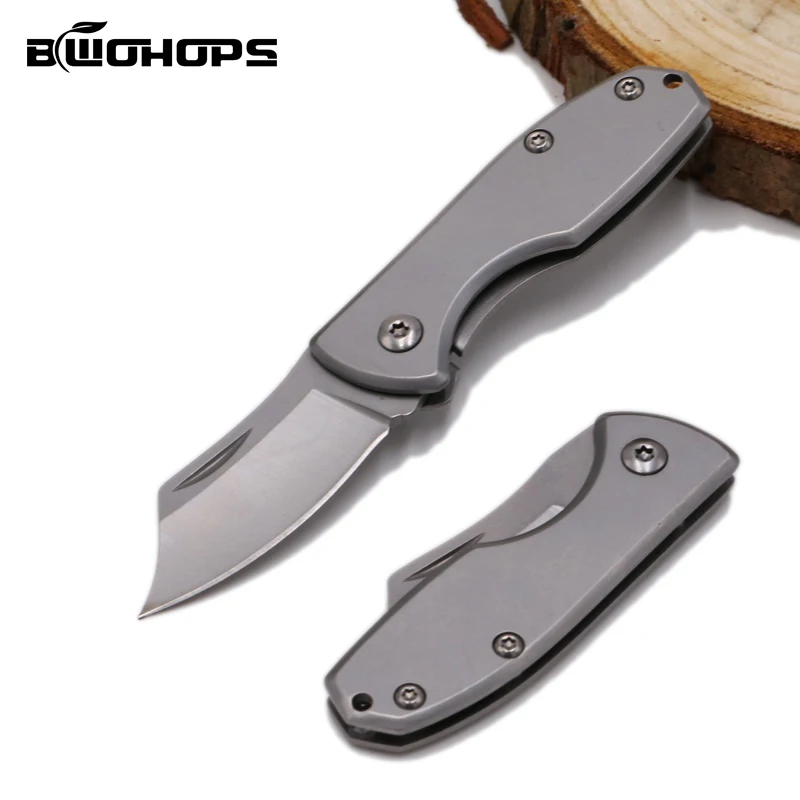 

Mini Portable Outdoor Fruit Knife Rescue Folding Blade Hunting Titanium Steel Pocket Survival Tactical Stiletto Precision Knives