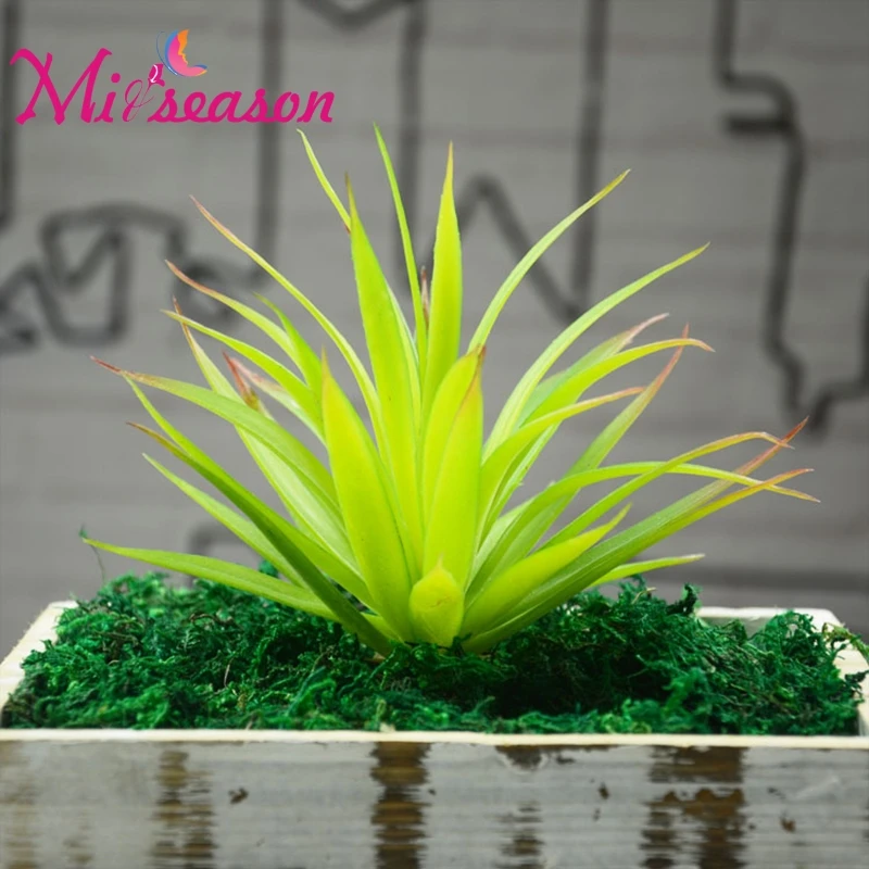 1pc Artificial Desert Plant Palm Bonsai Local Landscape Fake Fleshiness