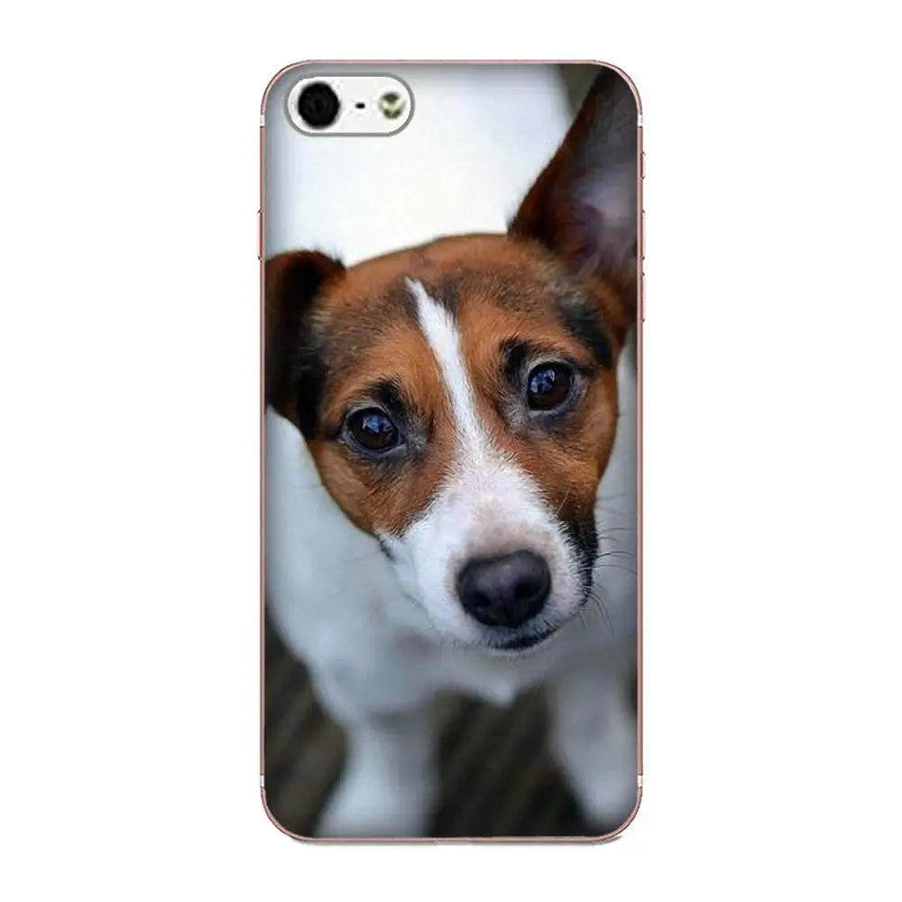 2017 Новый Роскошный чехол для телефона Jack Russell Dog Puppy 2 Huawei Mate 7 8 9 10 20 P8 P9 P10 P20 P30 Lite Plus