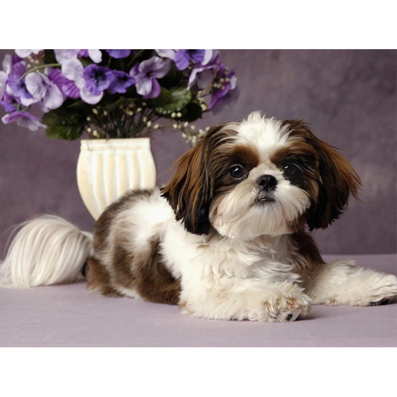 &quotShih Tzu dog&quot Фиолетовый DIY 5D алмазная картина вышивка крестиком Стразы 3d Фото