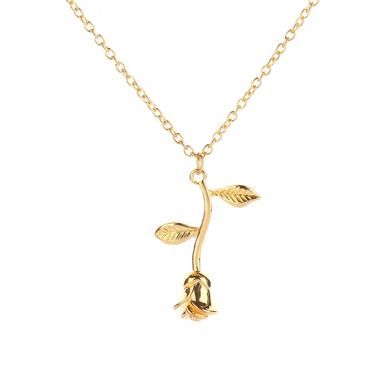 4576751144_1494315084