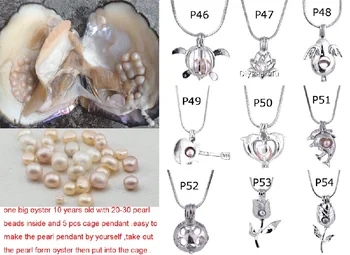 

Free Shipping Large Natural Oyster And 9 pcs Cage pendant easy to make the pearl pendant by yourself,birthday gift ZD002