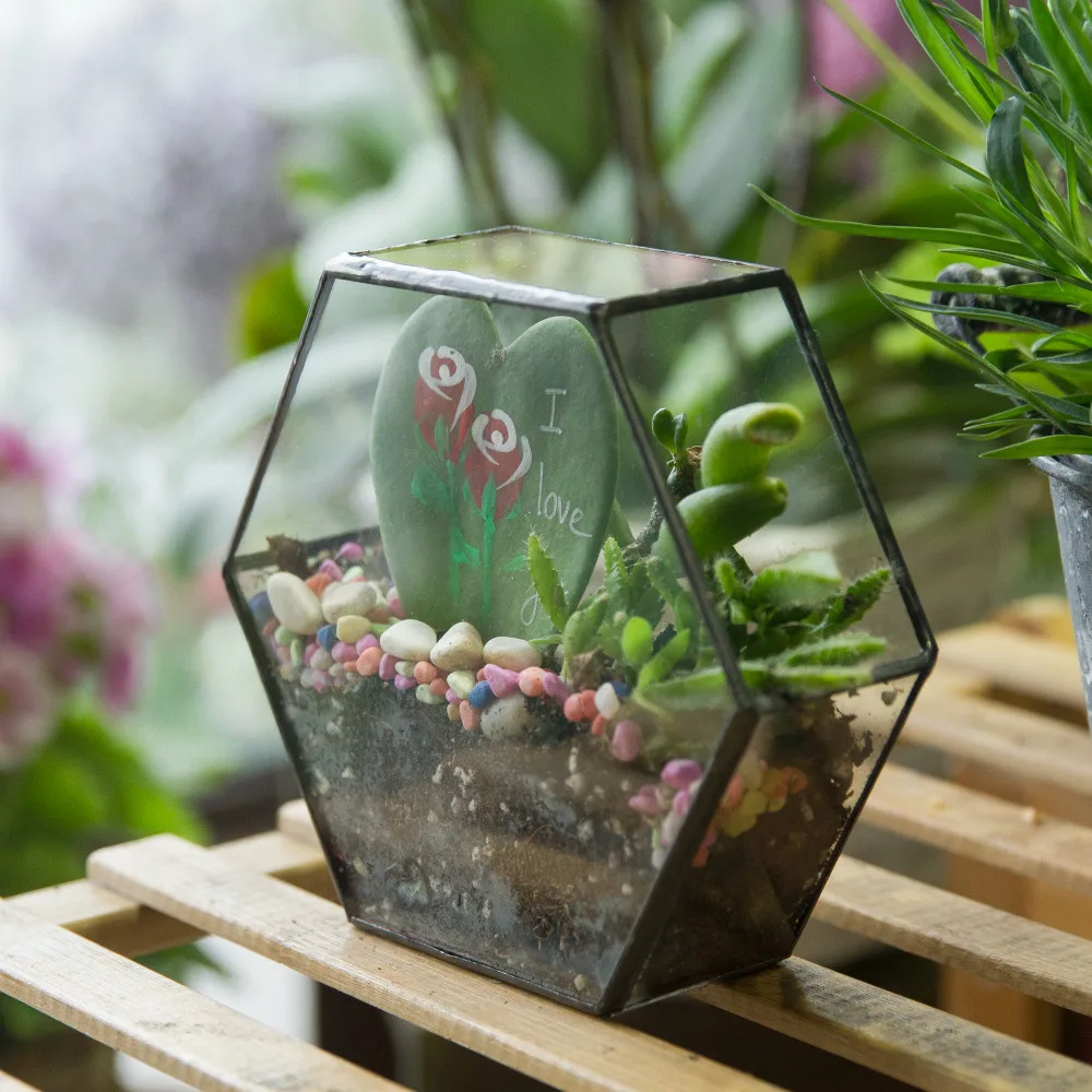 Hexagonal Metal Glass Jewelry Tray Tabletop Succulent Plants Planter Box 